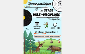stage discipline